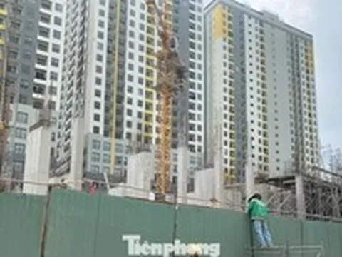 Giá căn hộ tăng hơn 300% trong 10 năm qua