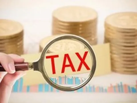 Kê khai thuế 2026: Những lưu ý quan trọng hộ kinh doanh cần nhớ