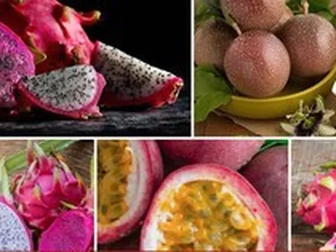 Chanh leo và thanh long Việt Nam đối diện nguy cơ bị EU siết chặt kiểm soát