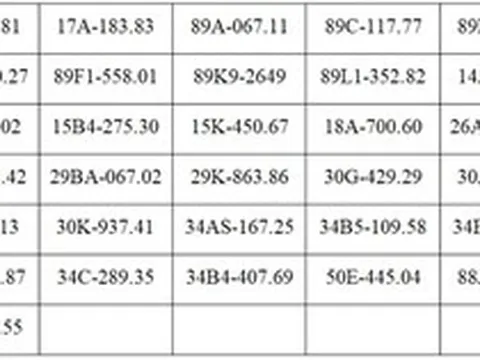 130 chủ xe máy, ô tô có biển số sau nhanh chóng nộp phạt nguội theo Nghị định 168: Mức phạt lên tới 22 triệu đồng