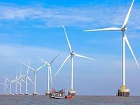 "Trùm" năng lượng tái tạo Việt Nam vừa làm điều chưa từng có