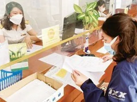 Tất cả hộ, cá nhân kinh doanh cần đặc biệt lưu ý thông tin sau