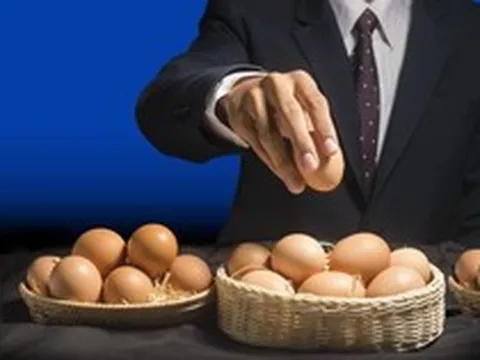 Đừng “bỏ trứng vào một giỏ”, chuyên gia mách nước chiến lược phân bổ hiệu quả khi các kênh tài sản lên xuống mạnh