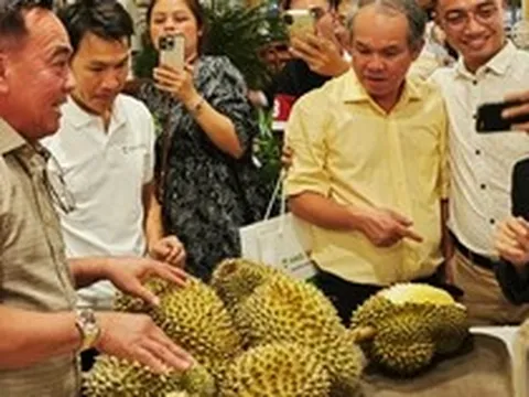 Công ty của bầu Đức tính trồng thêm 700 ha sầu riêng