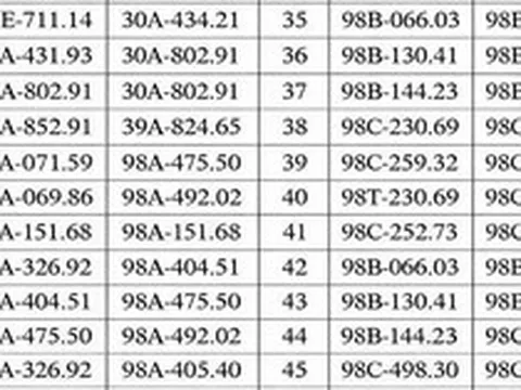 Hơn 300 chủ xe máy, ô tô có biển số sau nhanh chóng nộp phạt nguội theo Nghị định 168