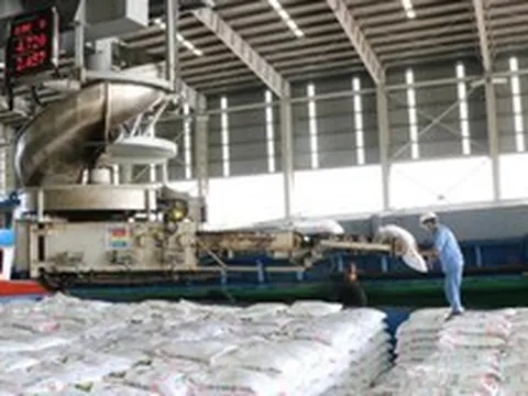 Hai 'ông lớn' Việt Nam đang nắm giữ át chủ bài giữa cảnh Hormuz gây đứt gãy chuỗi cung ứng phân bón toàn cầu