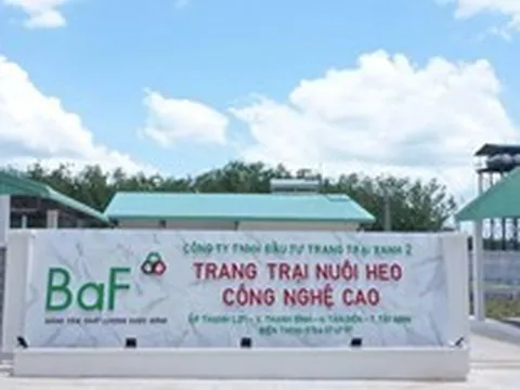 BaF Việt Nam chốt ngày tổ chức ĐHĐCĐ thường niên năm 2026