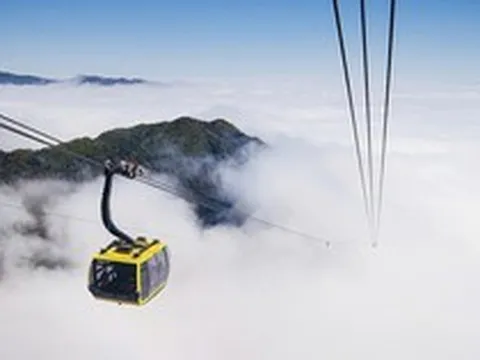 Cáp treo Fansipan Sa Pa báo lãi gần 29 tỷ đồng trong năm 2025