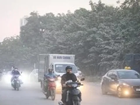 480.000 EURO triển khai Dự án 'Phố thở - Hà Nội thở'