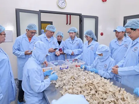 Sanvinest Khánh Hòa: Tăng lợi nhuận nhờ kiểm soát chi phí