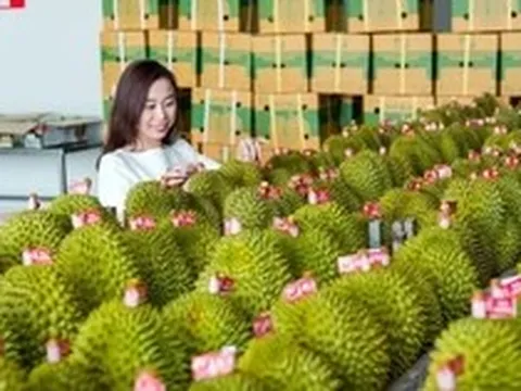 Thương mại Việt Nam - Trung Quốc tăng tốc kỷ lục