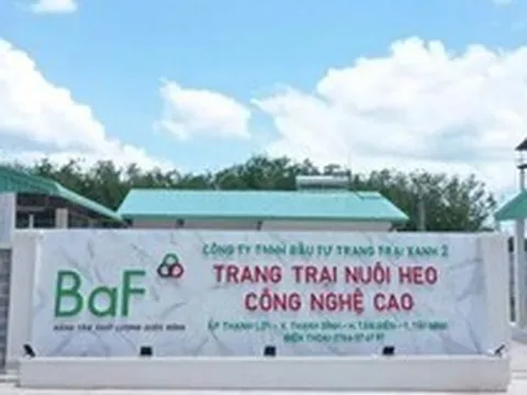 Nông nghiệp BAF hướng đến mức lợi nhuận kỷ lục, chia cổ tức và cổ phiếu thưởng tổng tỷ lệ 20%