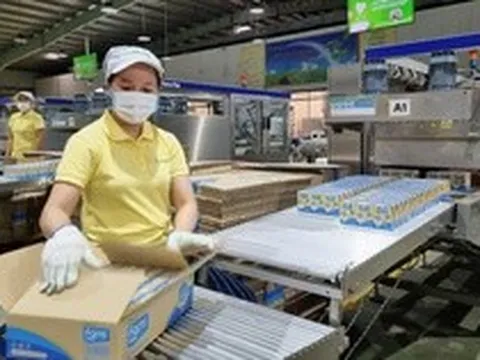 Một công ty sắp chốt ngày trả cổ tức 20% bằng tiền mặt, duy trì mức 40% năm thứ ba liên tiếp