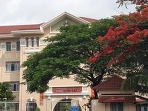 NÓNG: Nhiều trường học TPHCM cảnh báo khẩn lừa đảo suất "bao đậu", "tuyển thẳng" mùa tuyển sinh