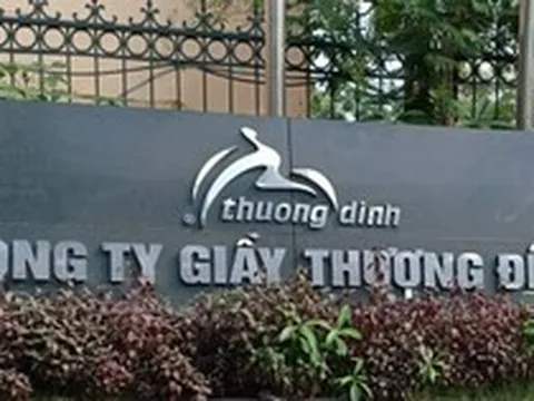 Vinaconex tính mua cổ phần của Giầy Thượng Đình