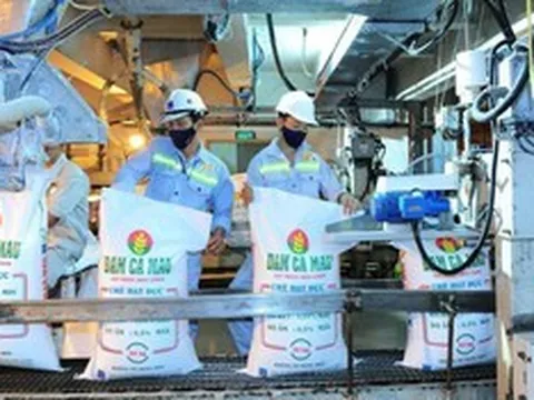 Tổng tài sản của Đạm Cà Mau tăng thêm 1.200 tỷ đồng sau một quý