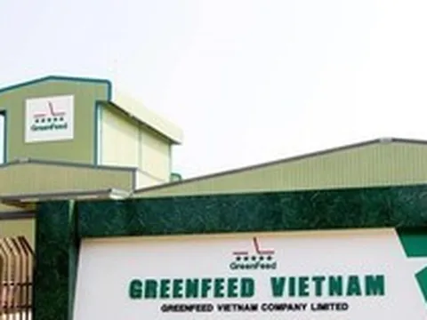 Một công ty sản xuất thức ăn chăn nuôi báo lãi kỷ lục hơn 10 tỷ đồng mỗi ngày