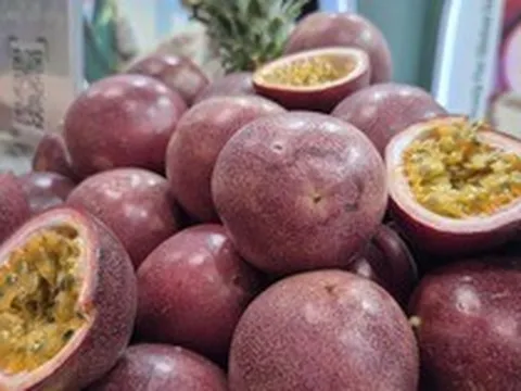 Không phải sầu riêng, đây mới là loại quả từ Việt Nam mà châu Âu cực mê