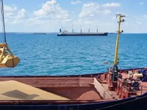 Israel dừng dỡ hàng từ tàu chở ngũ cốc của Nga