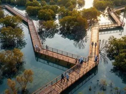 Cú chuyển mình thần kỳ của Hạ Long: Sắp có công viên câu cá lớn nhất thế giới, rộng gấp 45 lần sân Mỹ Đình, quy mô lên đến 800 ha