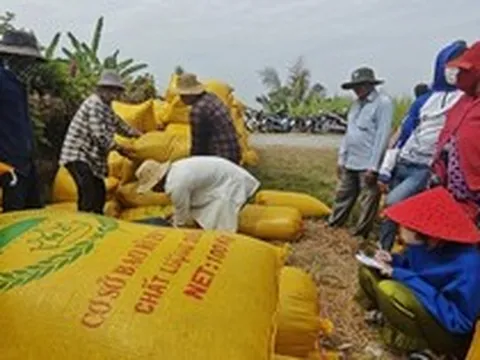 Nông dân không có tài khoản ngân hàng, doanh nghiệp phải “đẻ” thêm công ty trung gian