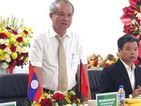 “Bắt tay” với một địa phương Lào, Bầu Đức muốn trồng 5.000 ha sản vật tỷ USD của Việt Nam