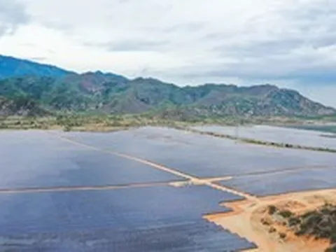 Tập đoàn Xuân Thiện bị phạt do không công bố thông tin