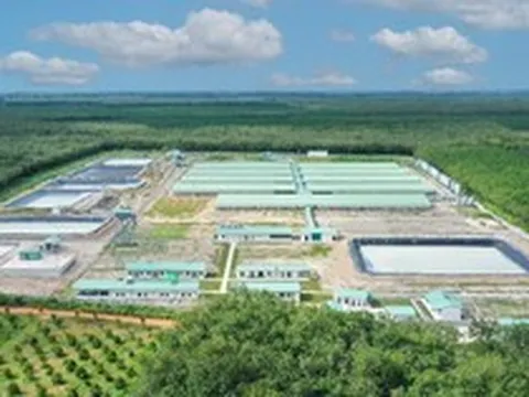 Baf Việt Nam chuẩn bị phát hành hơn 60 triệu cổ phiếu cho cổ đông