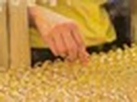 Hiện tượng nhiều người lần đầu chứng kiến trên thị trường vàng Việt Nam