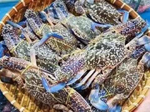 Mỹ ngừng nhập ghẹ từ Philippines, ghẹ Việt đón cơ hội