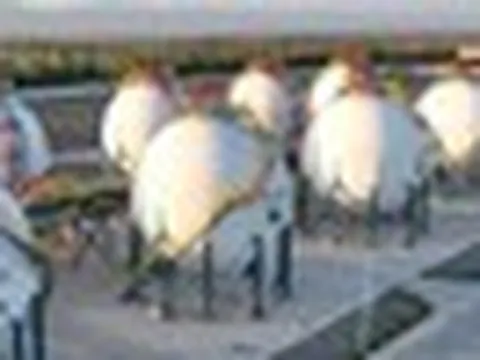 Nhật Bản thua đau Trung Quốc 1 lĩnh vực quan trọng dù đi trước 9 năm, thừa nhận mọi tham vọng đều đi vào ngõ cụt