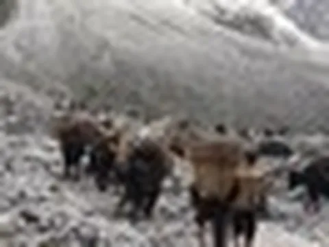 Tuyến đường 68 km, trị giá 138 tỷ đồng nối thẳng tới biên giới Trung Quốc vẫn dang dở sau 20 năm: Mới xây được 18 km, chất lượng thi công kém, dân chịu khổ đủ đường