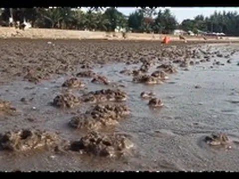 Người đàn ông bị sét đánh tử vong ở bãi biển Đồ Sơn