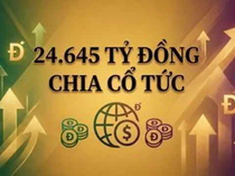 Kỷ lục ở Việt Nam: Chi gần 1 tỷ USD tiền mặt chỉ để trả cổ tức