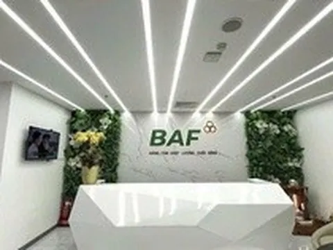Baf Việt Nam ‘rót’ 810 tỷ đồng thành lập 4 công ty con tại Hà Nội