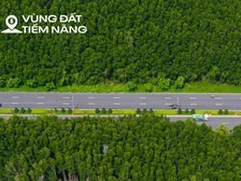 Toàn cảnh khu rừng rộng bằng 1/3 nội đô TP.HCM, ôm trọn siêu đô thị 10 tỷ USD của ông Phạm Nhật Vượng