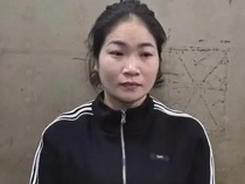Nữ quái lừa đảo làm thủ tục đất đai, chiếm đoạt nhiều tỷ đồng