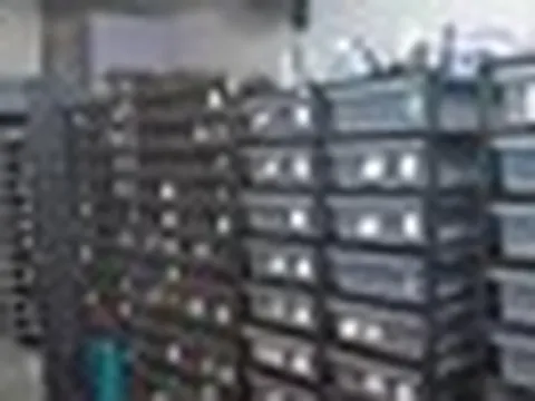 Phát hiện một căn hộ có lượng điện tiêu thụ nhiều bất thường, cảnh sát ập vào, chứng kiến cảnh tượng rùng mình