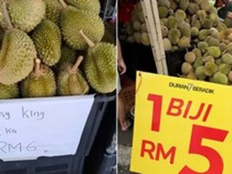 Chuyện gì đang xảy ra tại quốc gia ‘sầu riêng vua’ của Đông Nam Á: Giá giảm còn 3.000 đồng/quả, nông dân gặp áp lực