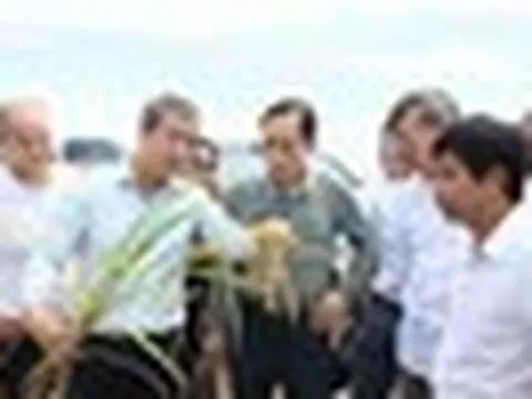 Gặp Bộ trưởng Việt Nam, Bí thư Tỉnh ủy Cuba “ngỏ lời” về lĩnh vực DN Việt lập kỳ tích 9 tấn/ha ở nước bạn