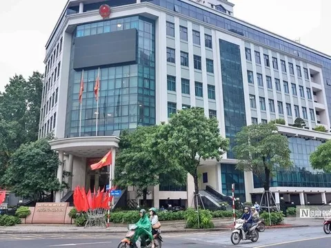 Chủ tịch tỉnh toàn quyền quyết định sử dụng nhà, đất dôi dư sau sáp nhập