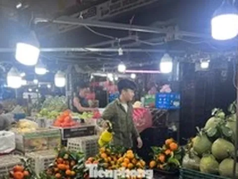 Lý do giá trái cây mùa hè ở TPHCM... rẻ 'sập sàn'