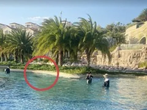 Phục hồi điều tra vụ bé 11 tuổi người Nhật tử vong ở hồ bơi tại resort
