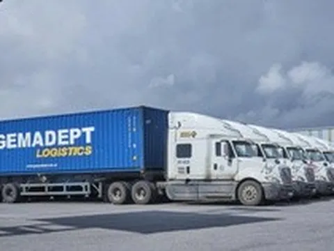 Gemadept sắp phát hành gần 6,4 triệu cổ phiếu cho cán bộ, nhân viên xuất sắc