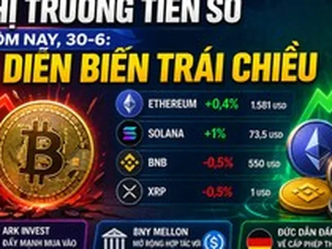 Thị trường tiền số hôm nay, 30-6: Diễn biến trái chiều