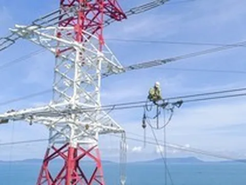 Một công ty con của EVN bị cả 4 Công ty Big4 từ chối kiểm toán sau khi Chủ tịch HĐQT bị khởi tố