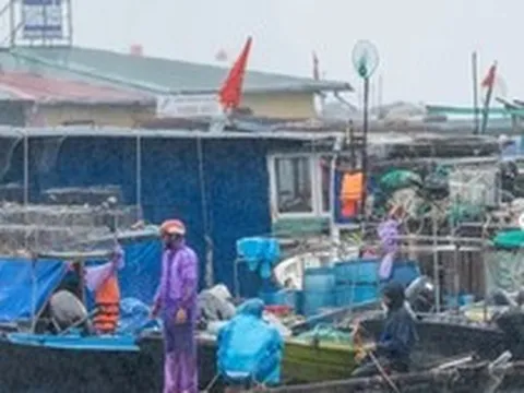 Ngư dân dầm mưa, chạy đua giữ tàu trước giờ bão số 1 đổ bộ