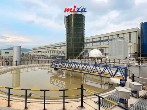 Ai đứng sau Miza - doanh nghiệp vừa niêm yết trên sàn HoSE?