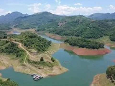 Doanh nghiệp thuộc sở hữu của Phú Mỹ Hưng được chuyển đổi 43,17ha đất rừng làm khu đô thị sinh thái