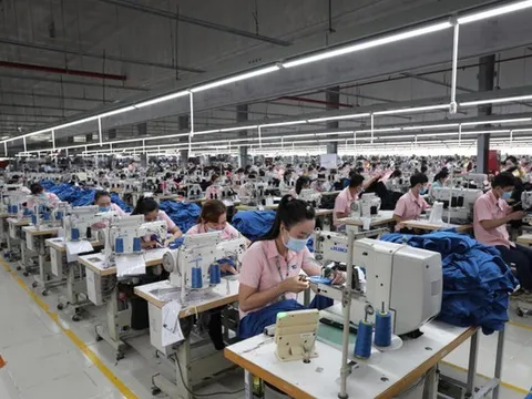 Lợi nhuận Dệt may Thành Công giảm mạnh